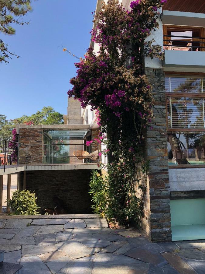 Bungalow B2 - Nature, Beach & River Ofir Exterior photo