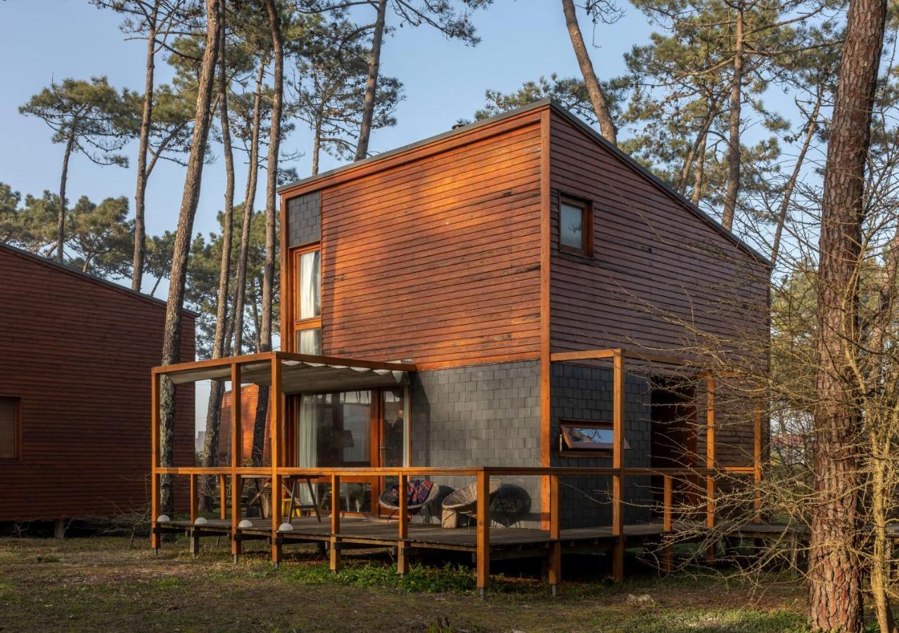 Bungalow B2 - Nature, Beach & River Ofir Exterior photo