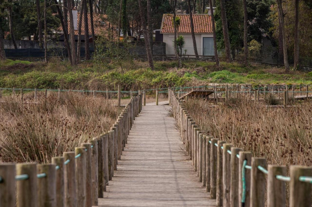 Bungalow B2 - Nature, Beach & River Ofir Exterior photo